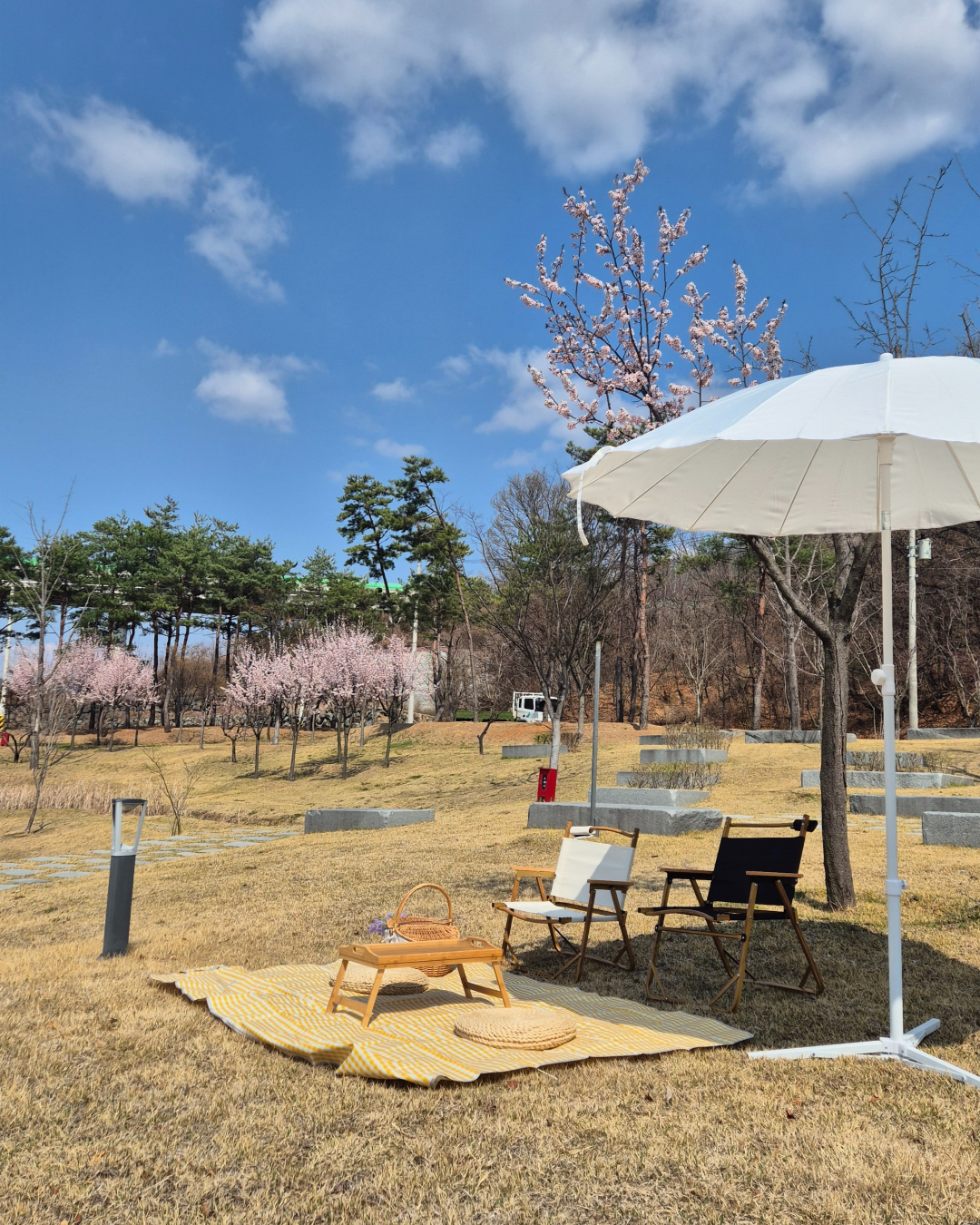 🌸 다시 봄, 신라불교초전지 피크닉 물품 대여 프로그램 안내 🌸 첨부 이미지
