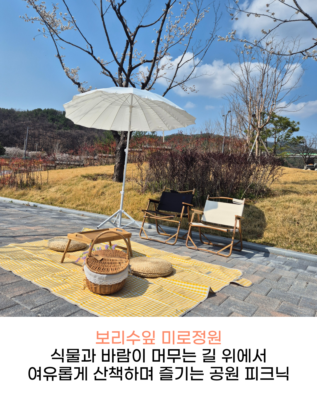 🌸 다시 봄, 신라불교초전지 피크닉 물품 대여 프로그램 안내 🌸 첨부 이미지