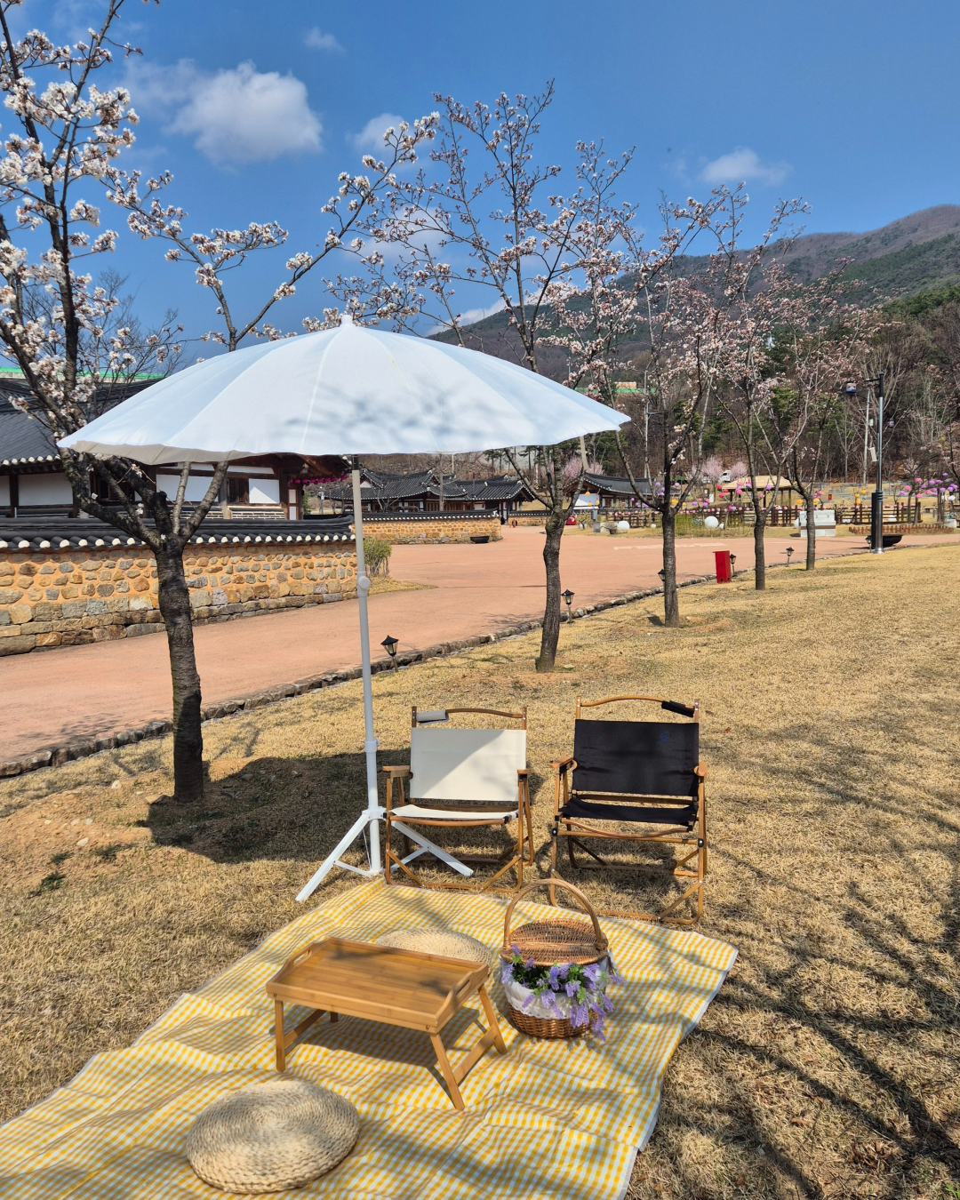 🌸 다시 봄, 신라불교초전지 피크닉 물품 대여 프로그램 안내 🌸 첨부 이미지