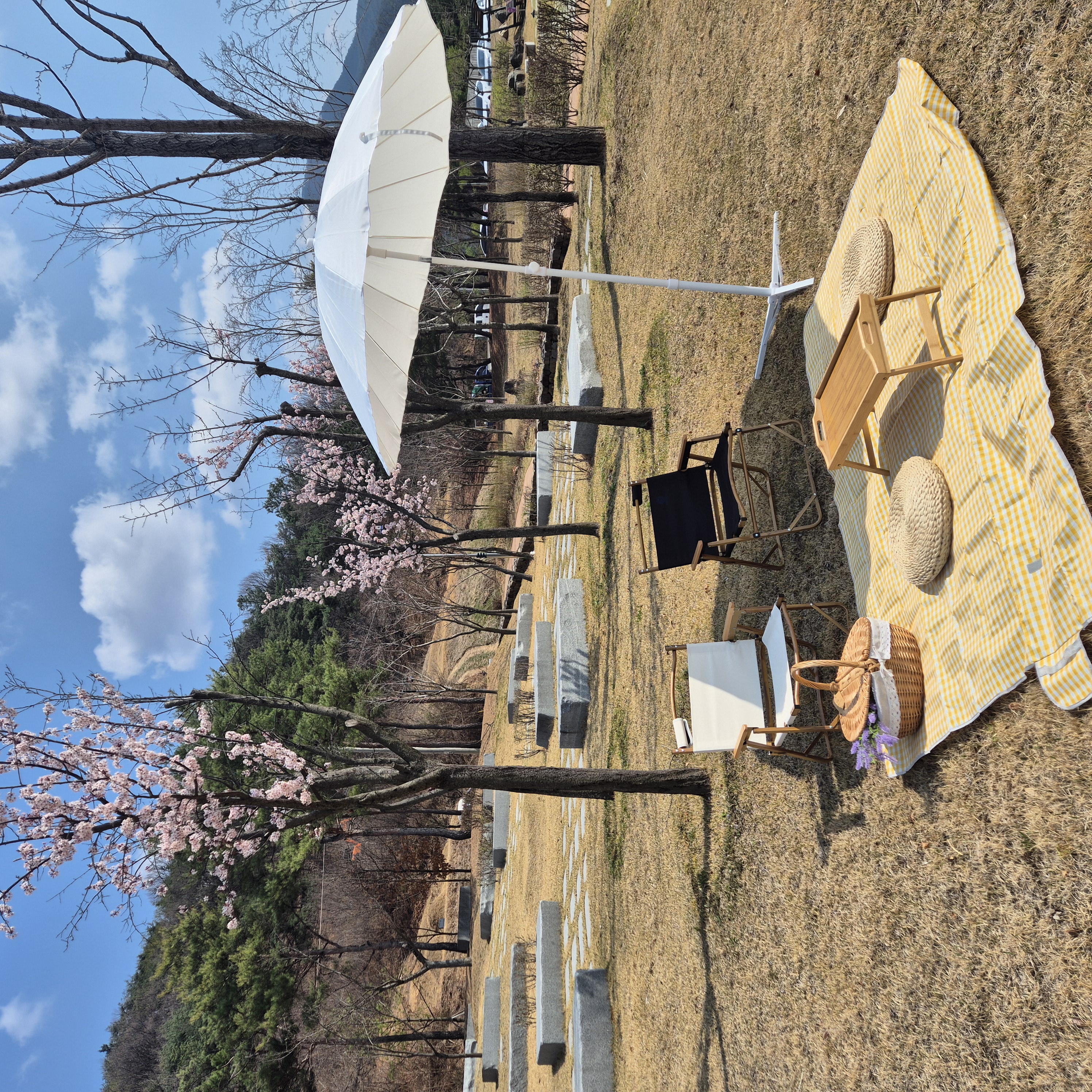 다시 봄, 신라불교초전지 봄맞이 피크닉 세트 대여프로그램 추진 첨부 이미지