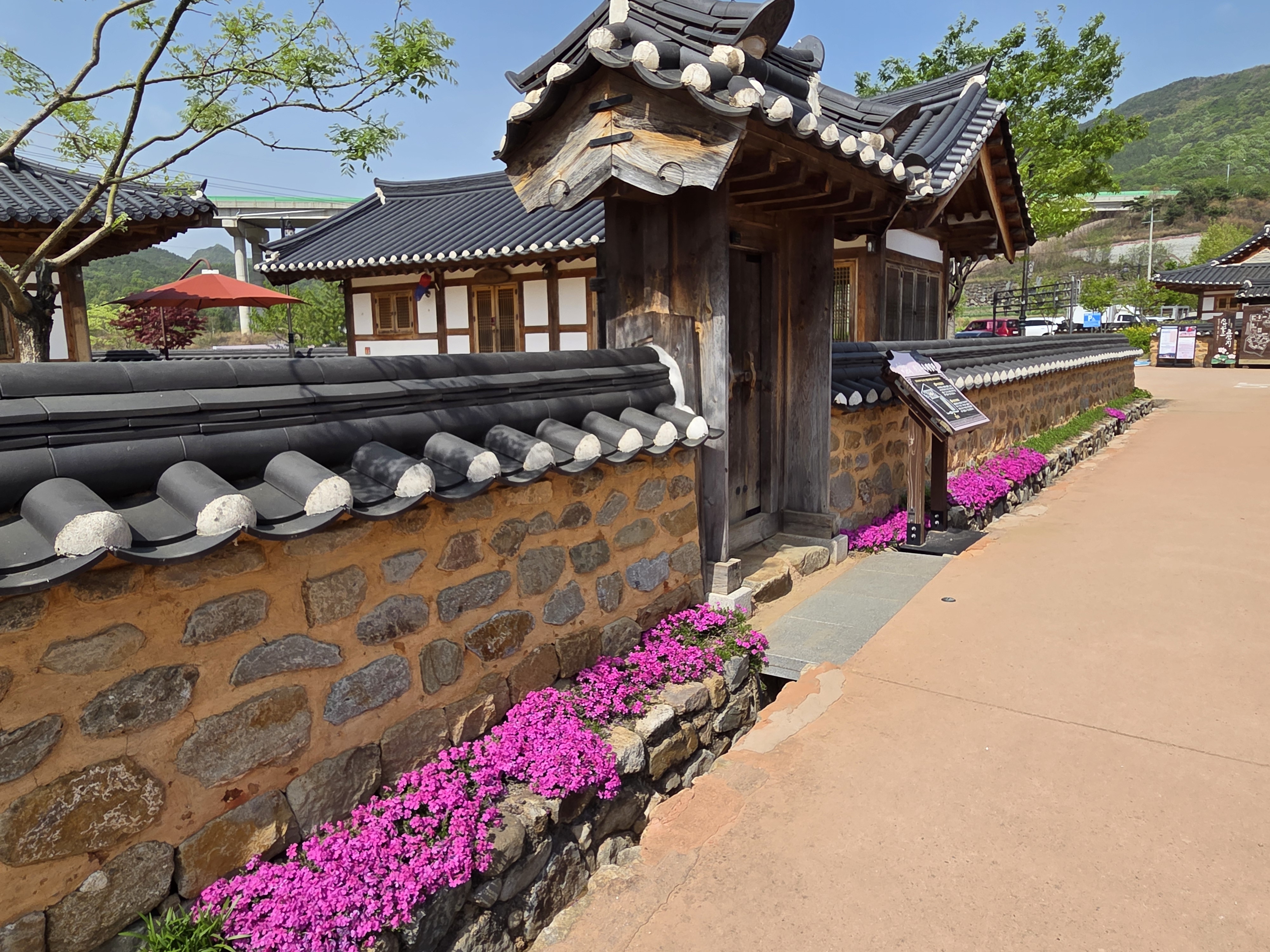 꽃잔디 첨부 이미지