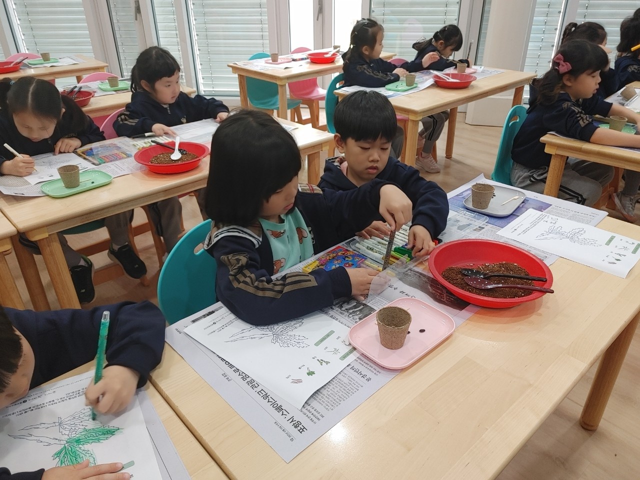 햇살 속 식물탐험 첨부 이미지