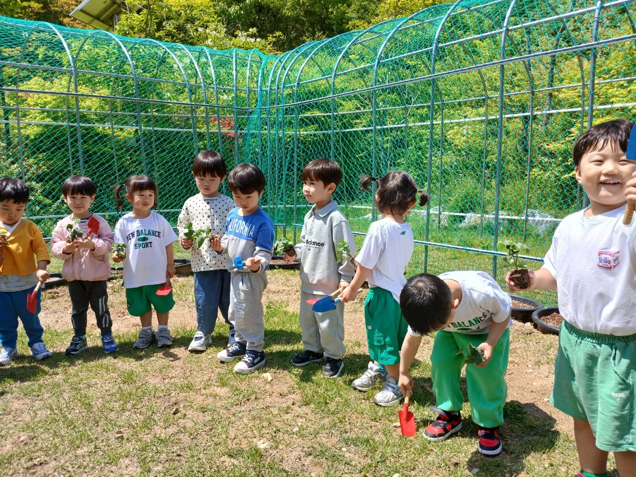 햇살 속 식물탐험 첨부 이미지