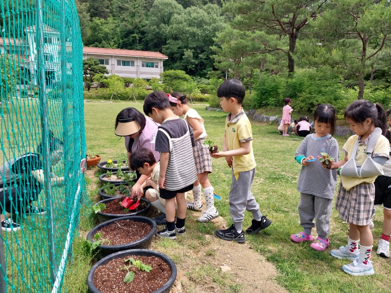 햇살 속 식물탐험 첨부 이미지