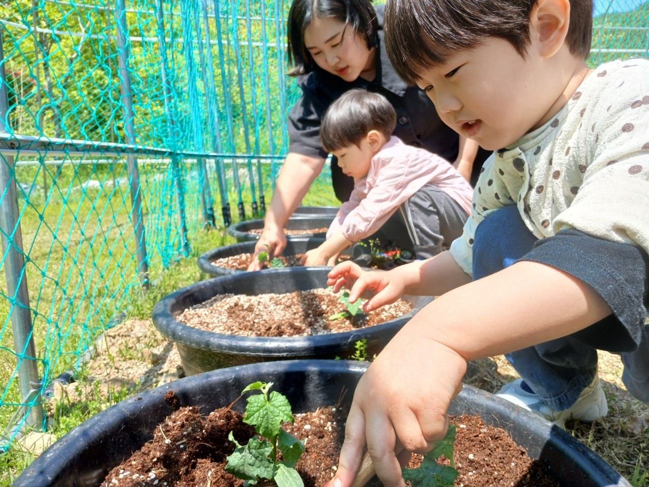 햇살 속 식물탐험 첨부 이미지