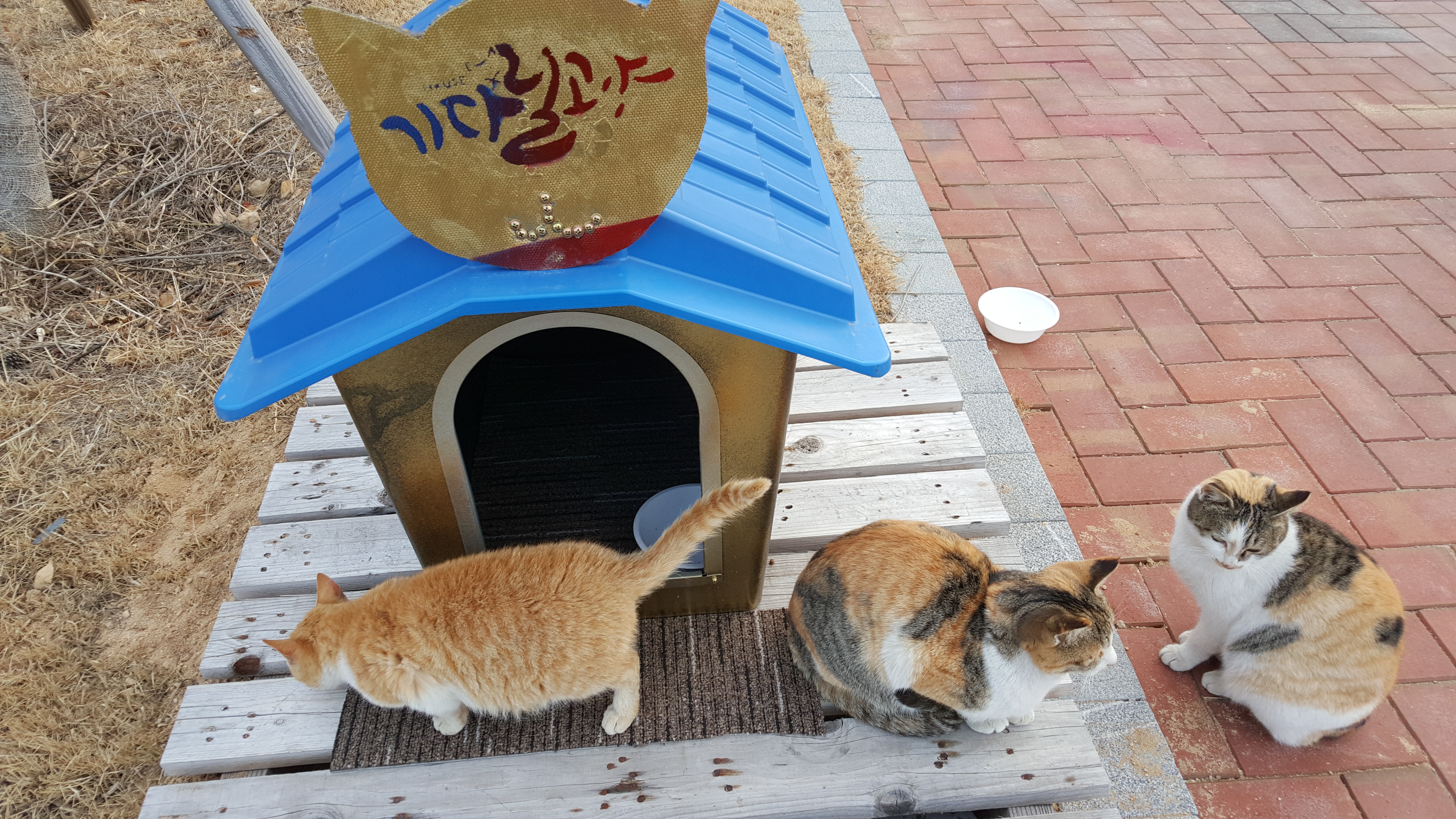 불교문화체험프로그램 너무 좋았습니다. 첨부 이미지