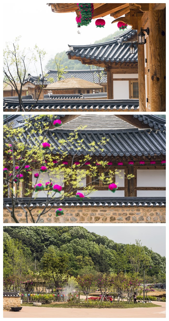 5월의 초전지(feat.연등) 첨부 이미지