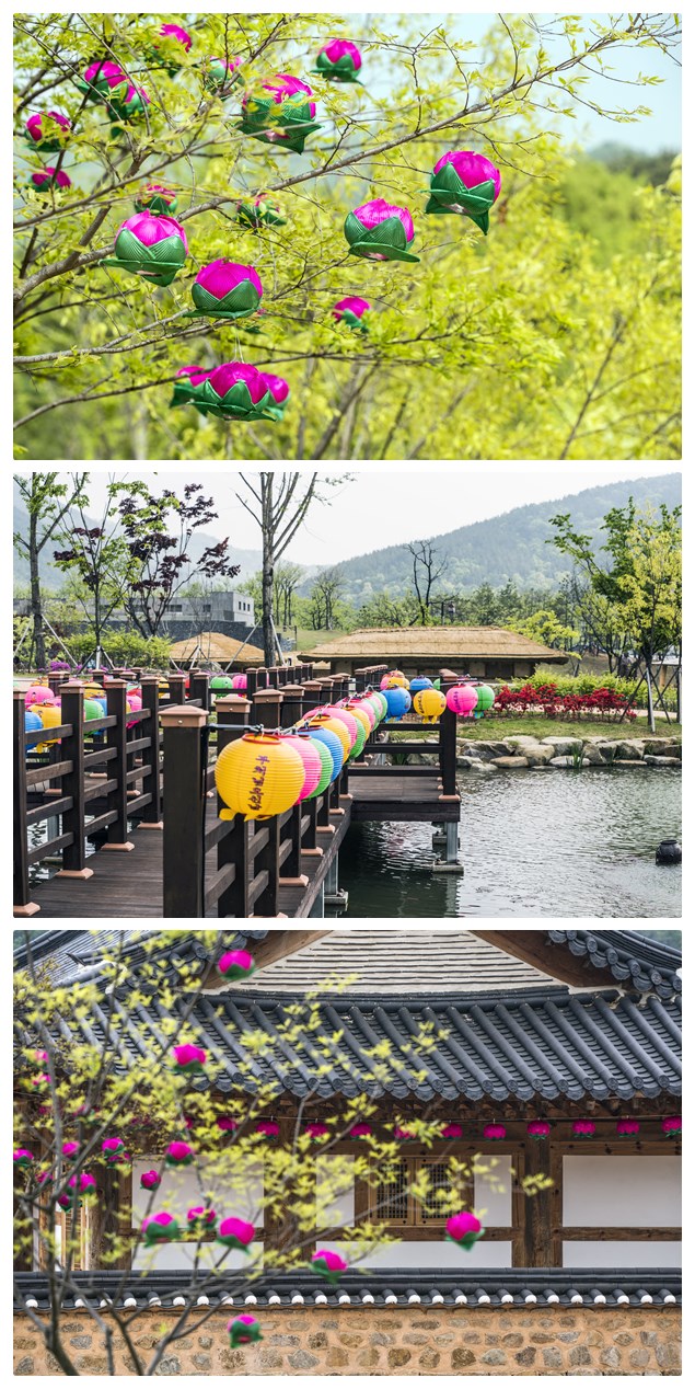 5월의 초전지(feat.연등) 첨부 이미지