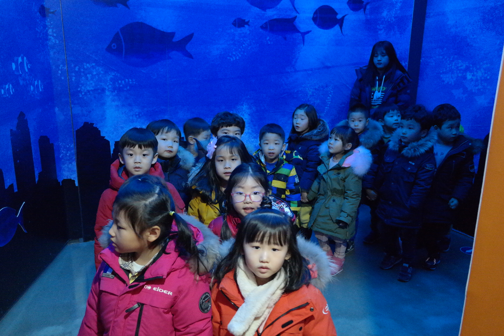 숲속늘푸른어린이집 첨부 이미지