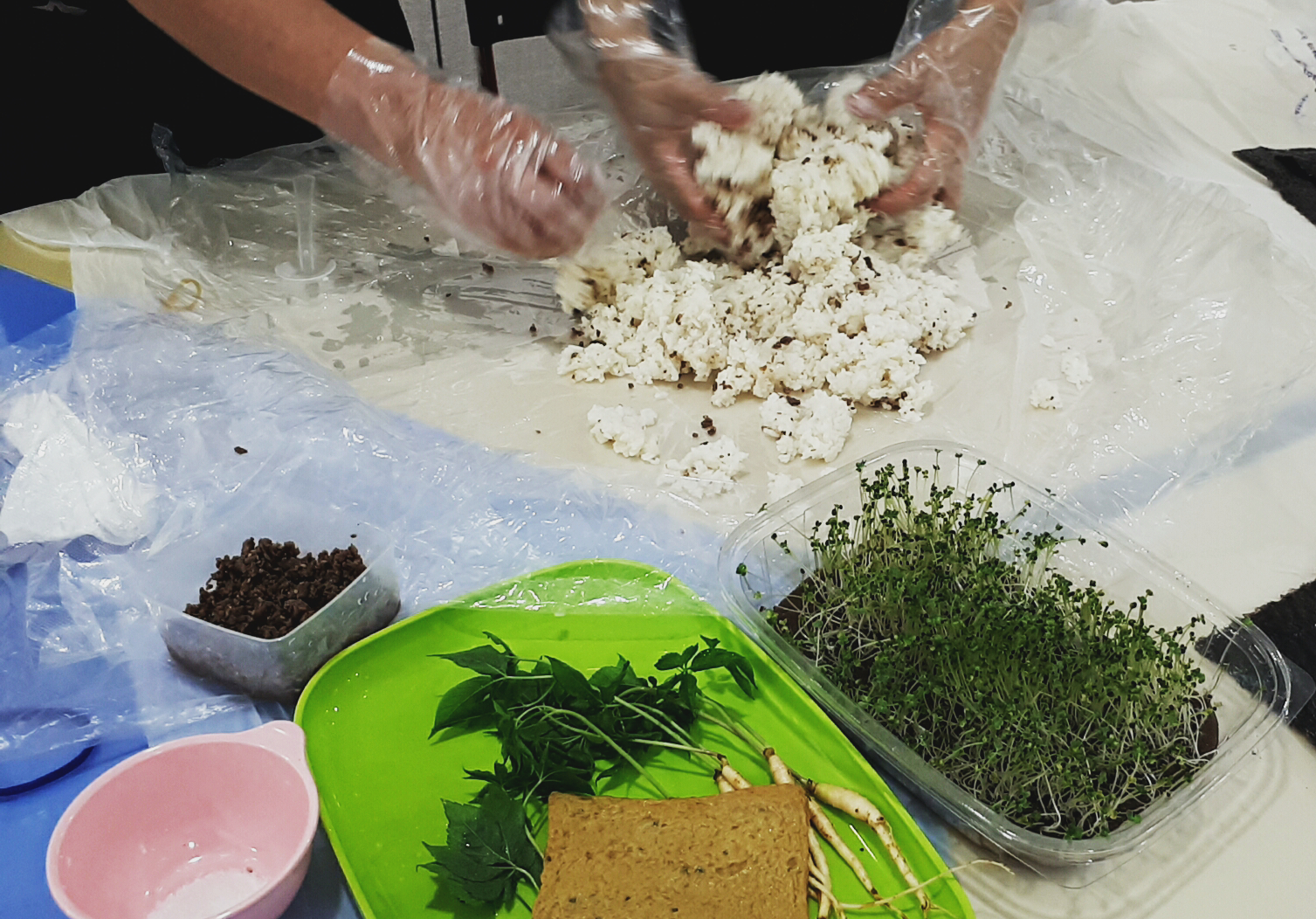 재미있는 수경 가드닝 첨부 이미지