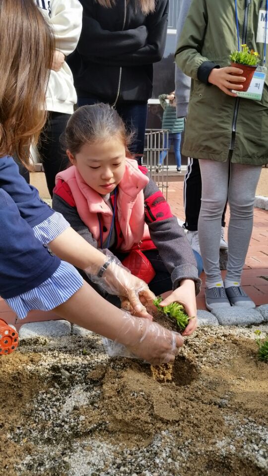 초등프로그램-푸름이환경기자단 첨부 이미지