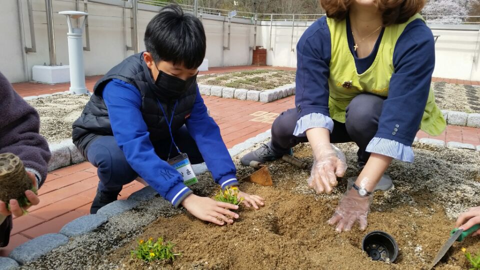 초등프로그램-푸름이환경기자단 첨부 이미지