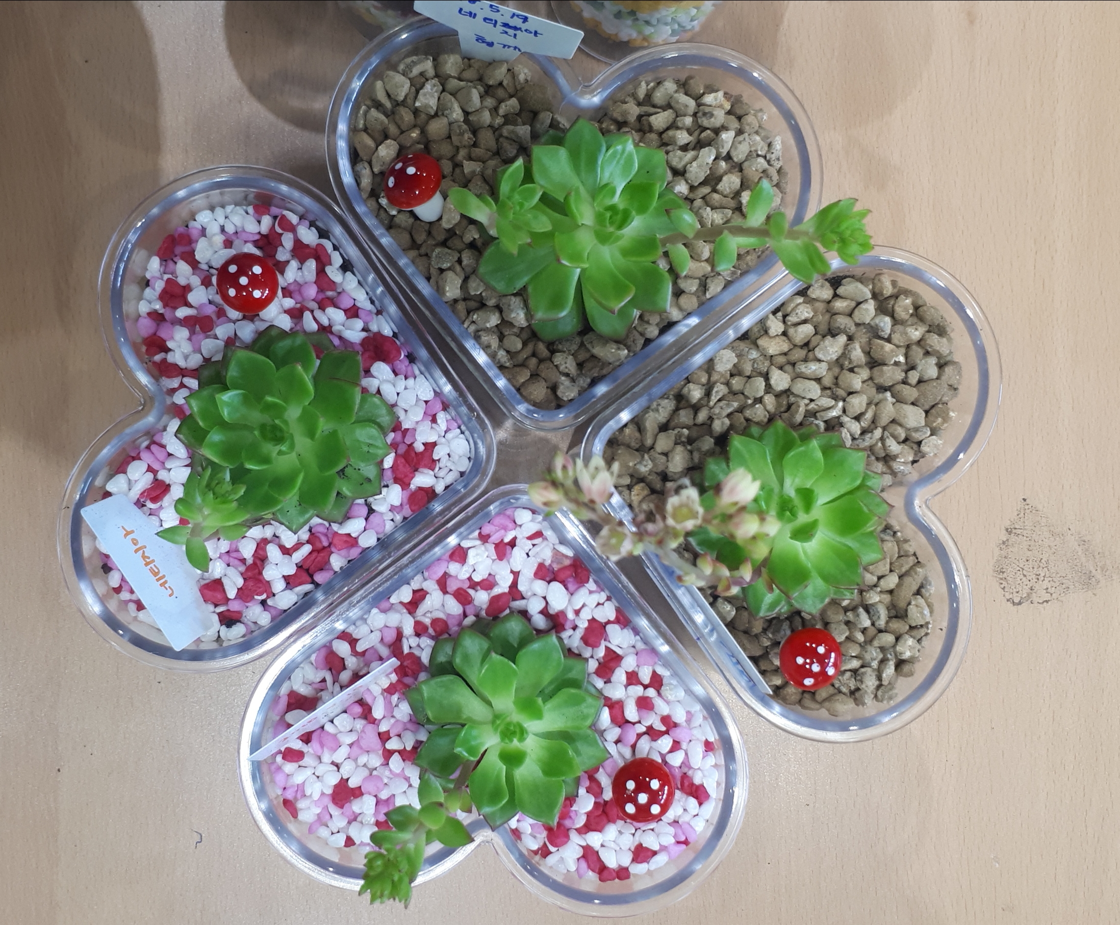 초등프로그램-환경사랑 그린스쿨 첨부 이미지