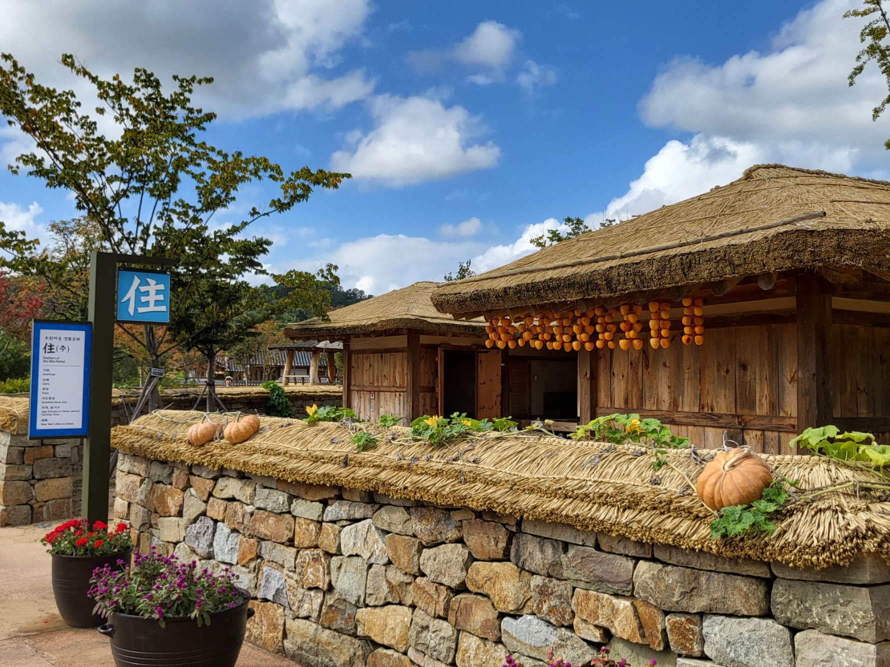 초전지의 가을 첨부 이미지