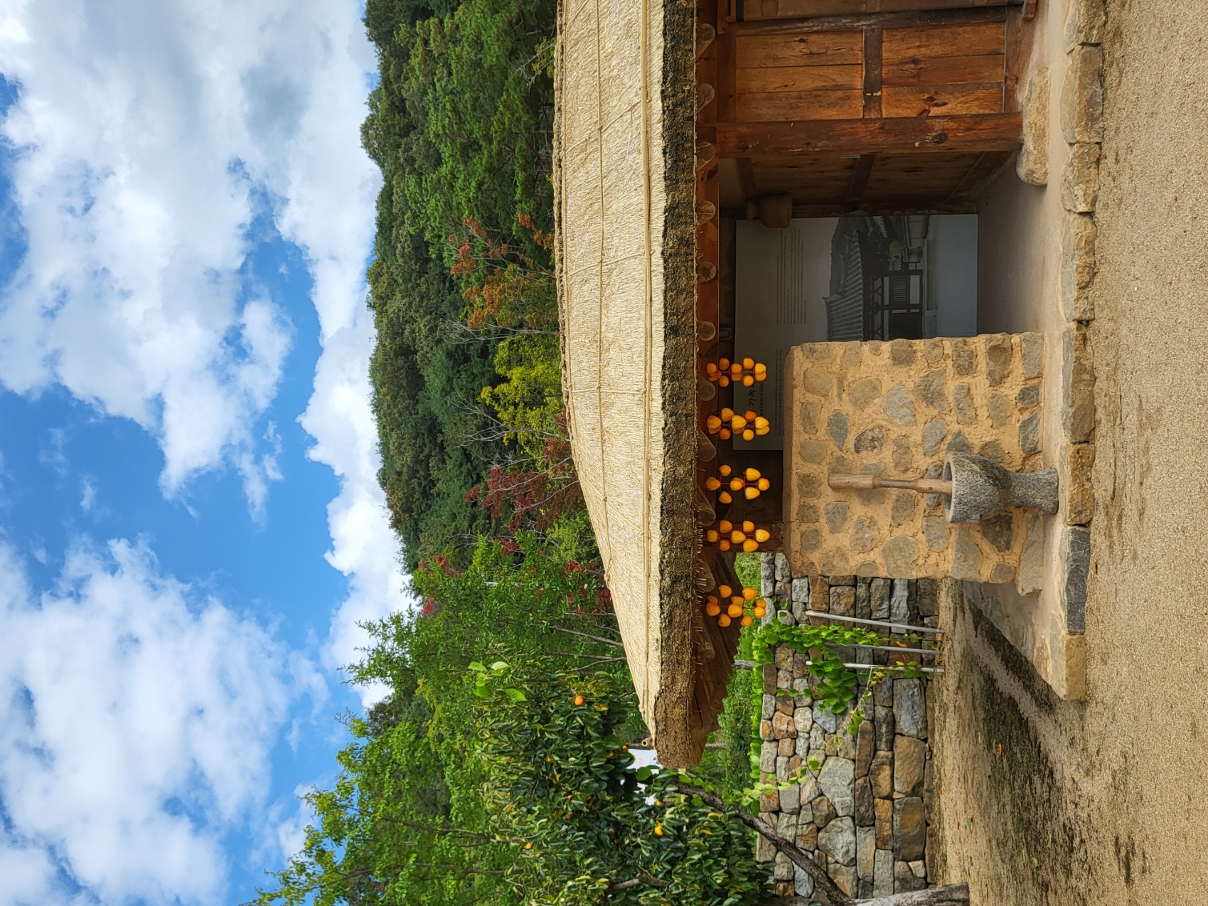 초전지의 가을 첨부 이미지