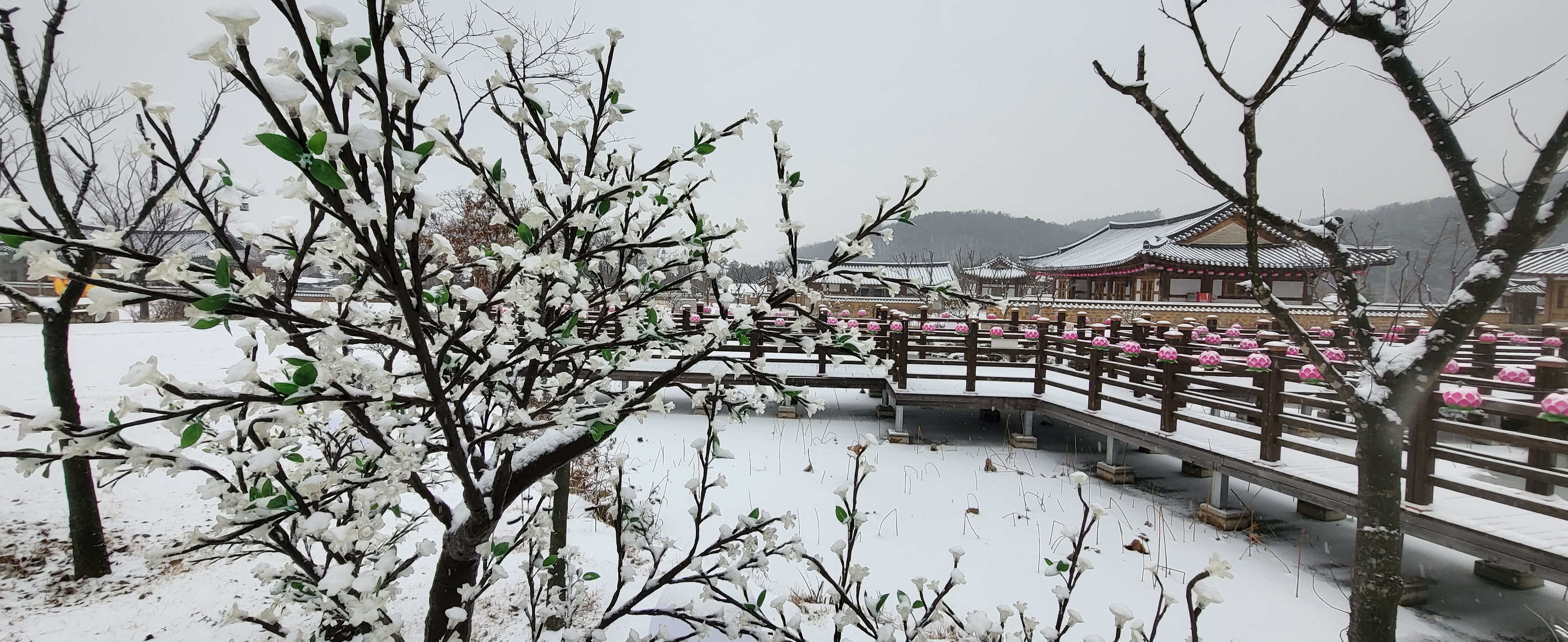 초전지의 겨울 첨부 이미지