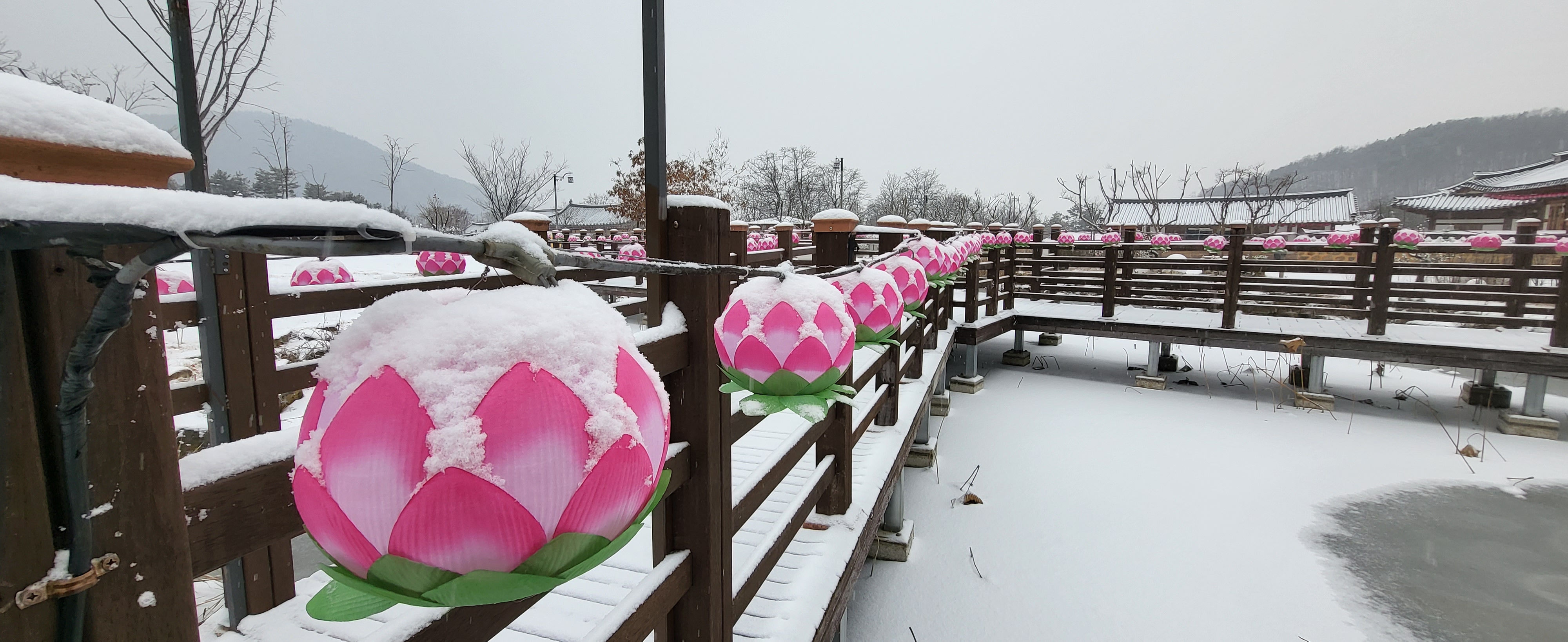 초전지의 겨울 첨부 이미지
