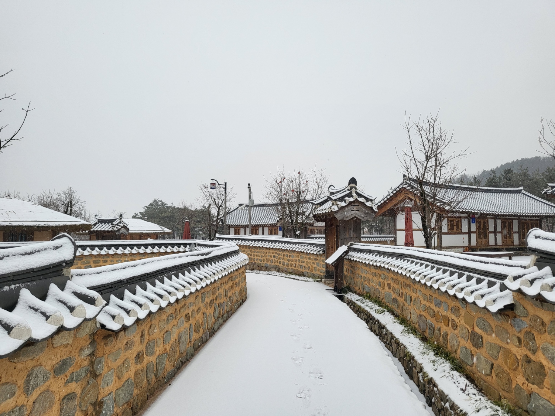 초전지의 겨울 첨부 이미지