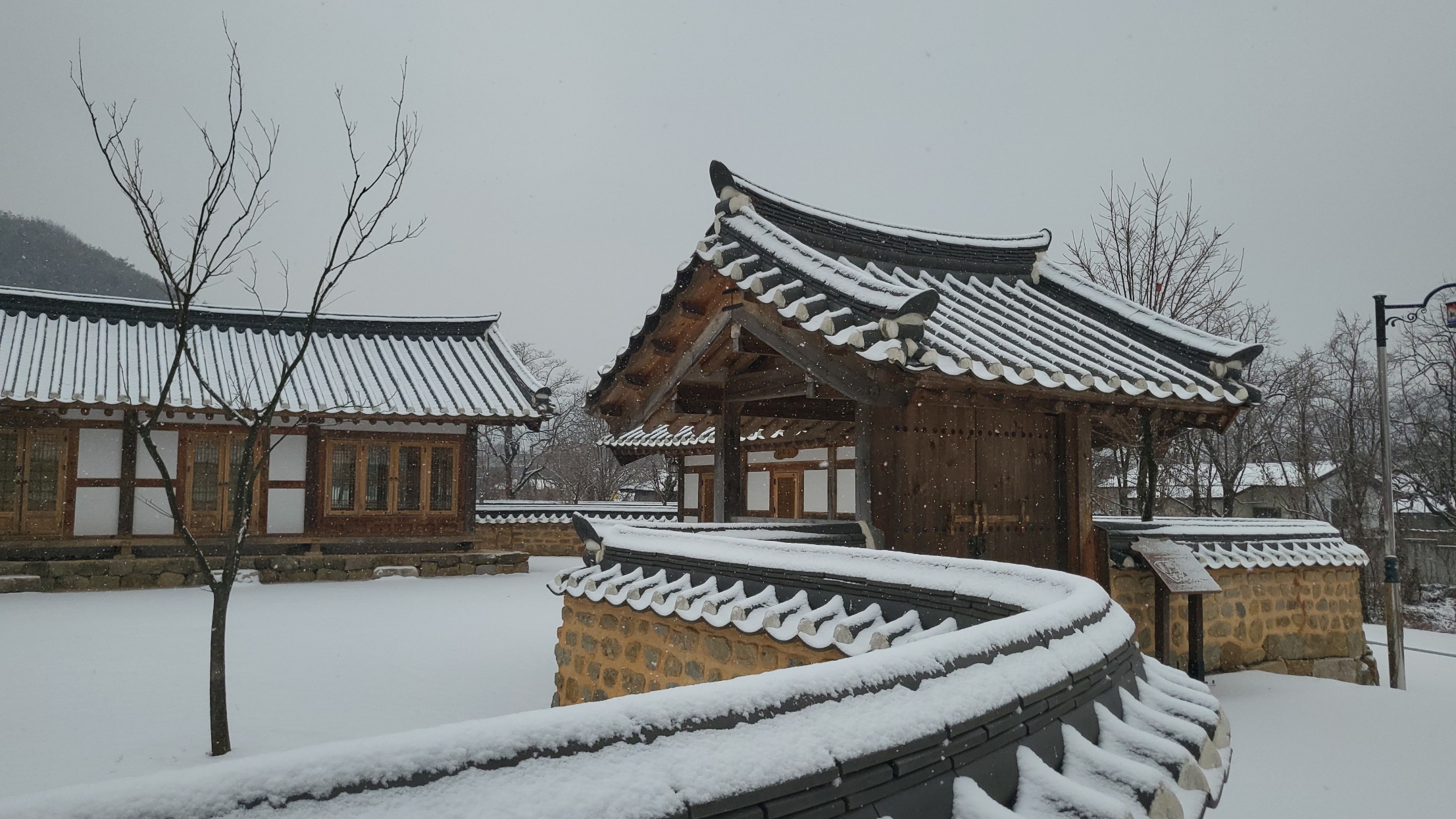 초전지의 겨울 첨부 이미지