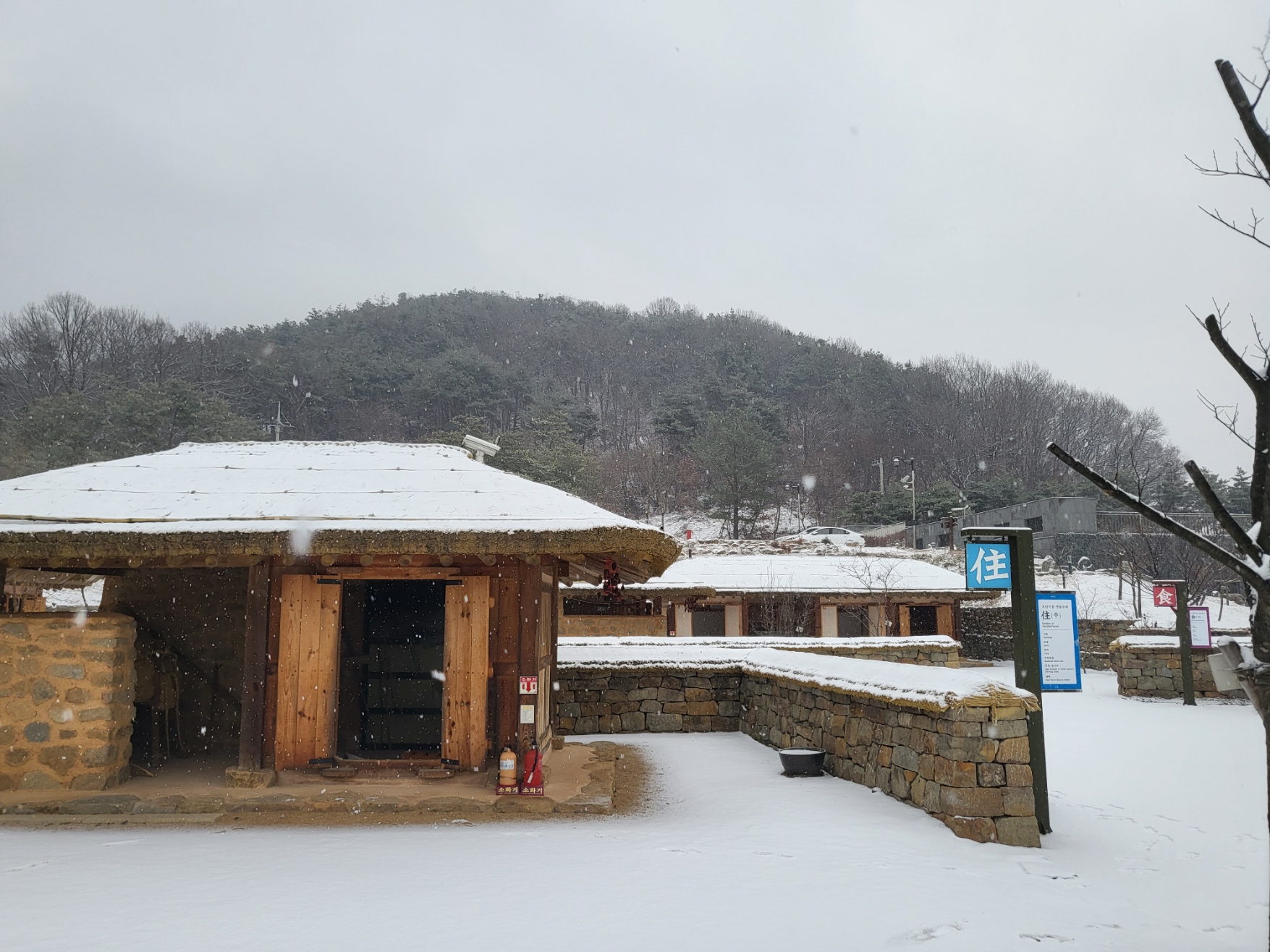 초전지의 겨울 첨부 이미지