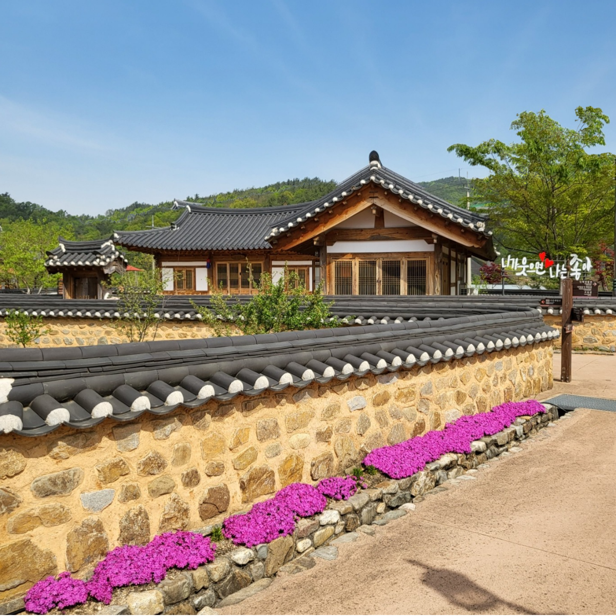 꽃잔디 첨부 이미지