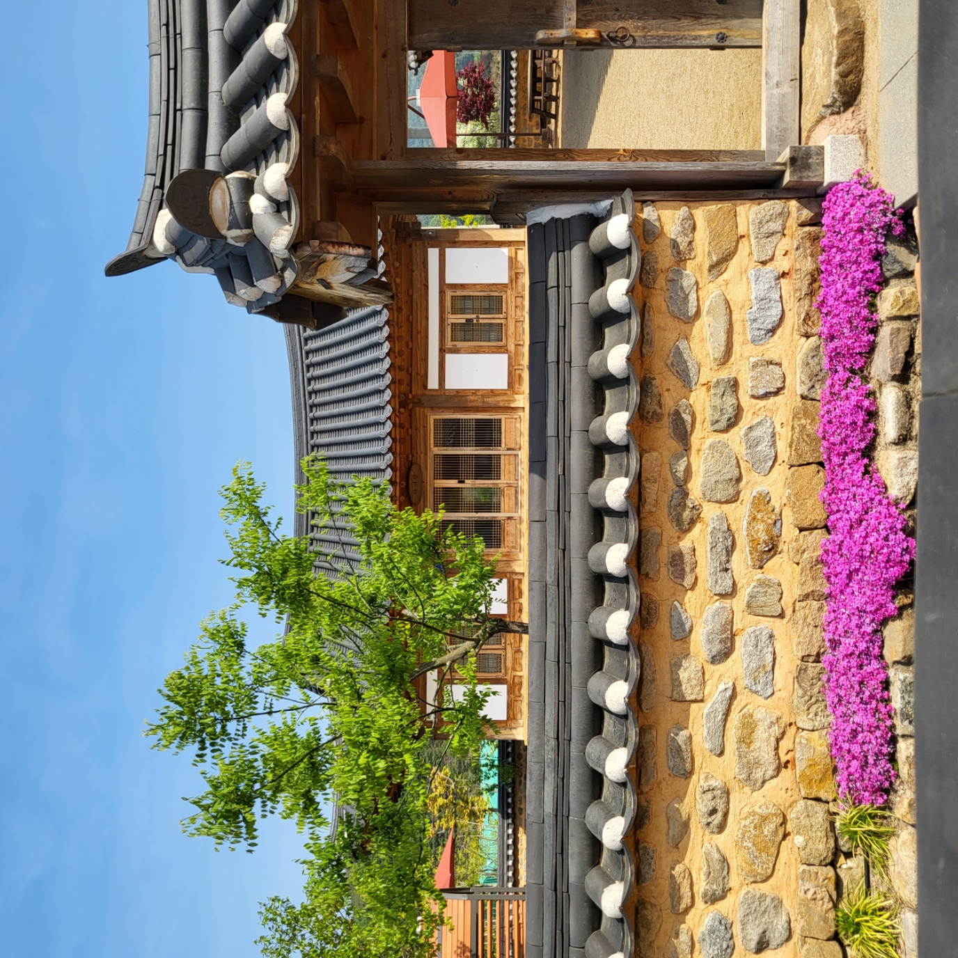 꽃잔디 첨부 이미지