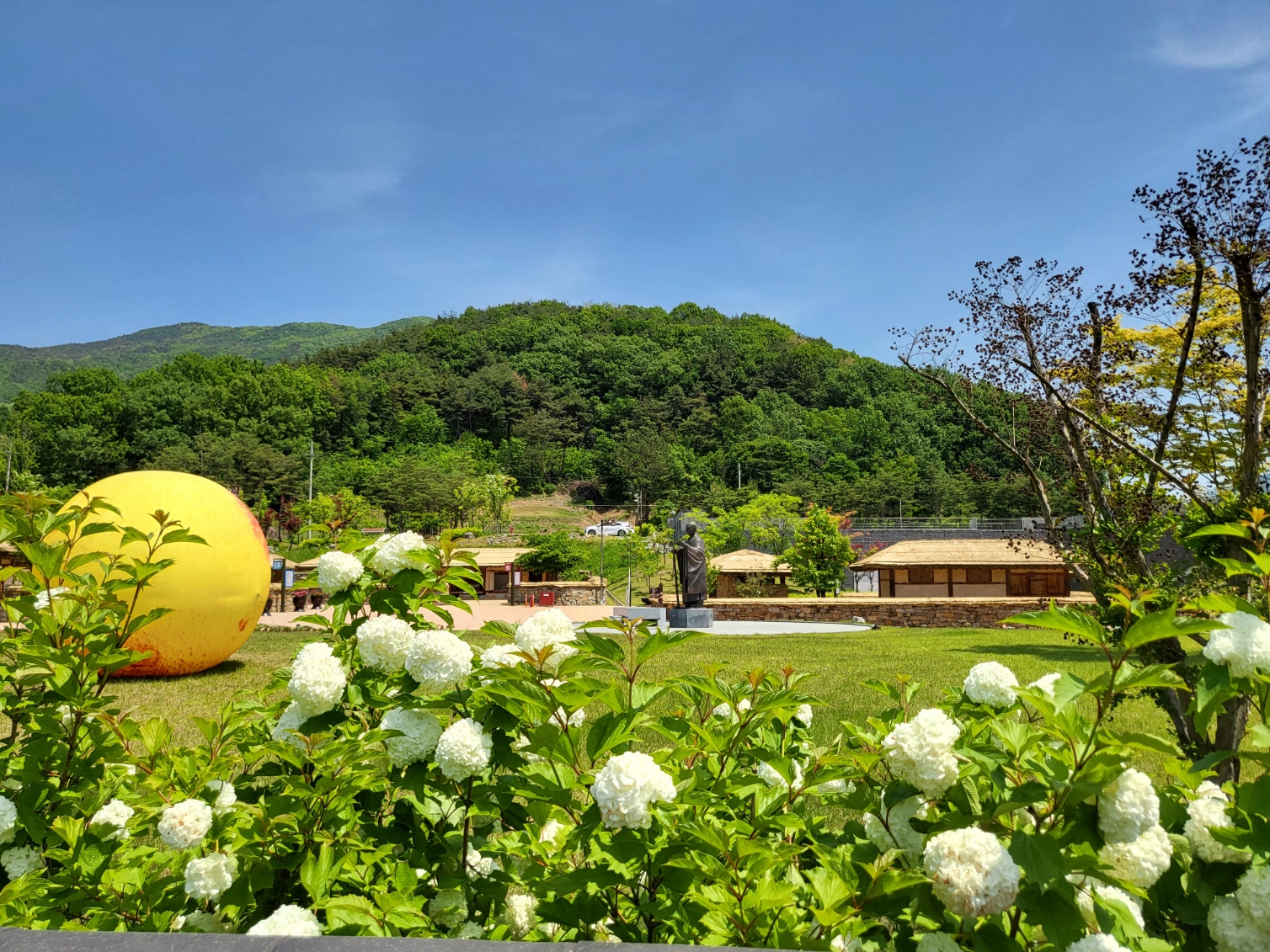 불두화 첨부 이미지