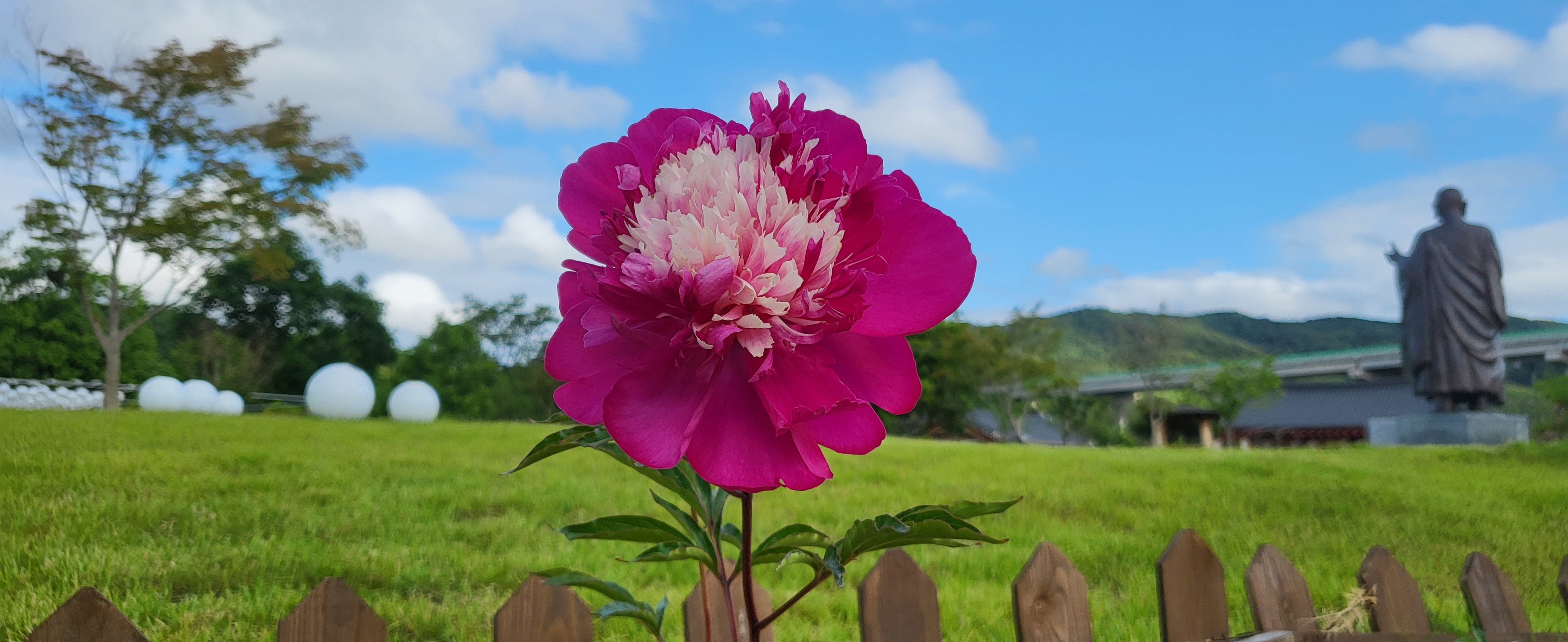 꽃 보러 가자~ 첨부 이미지