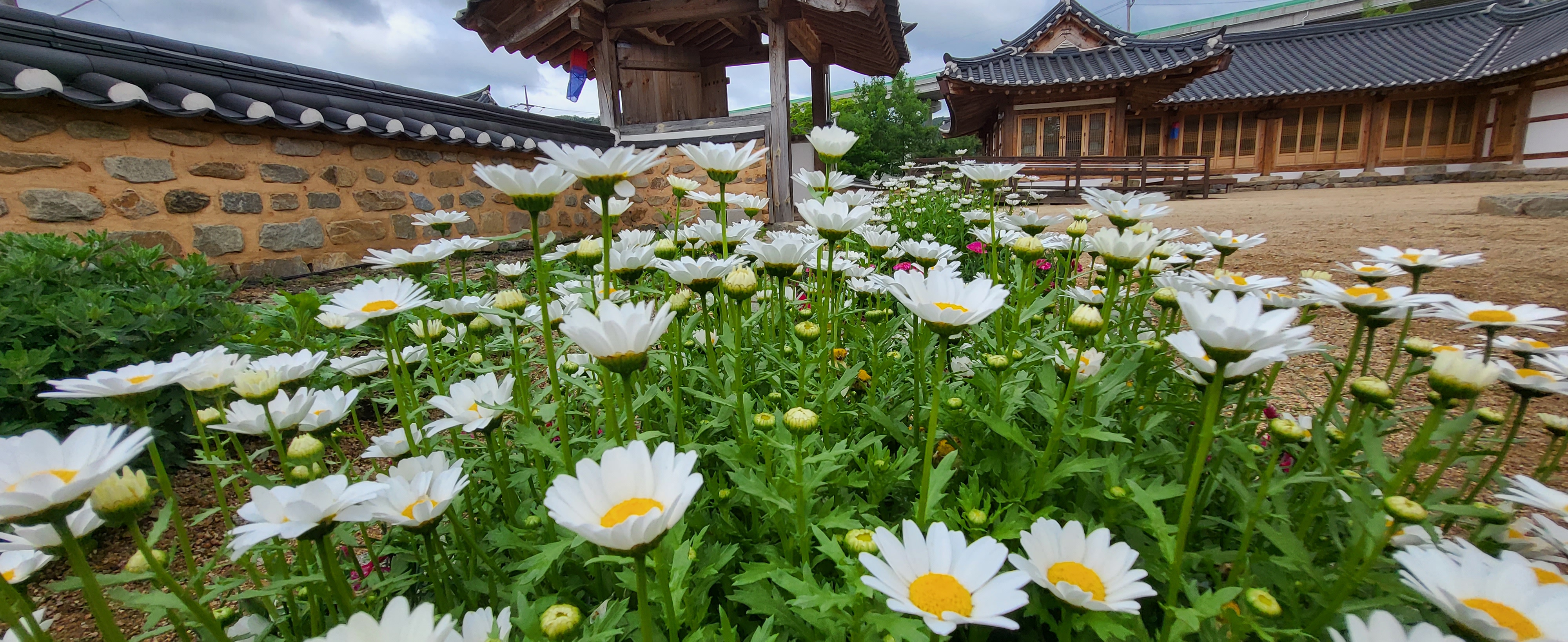 꽃 보러 가자~ 첨부 이미지
