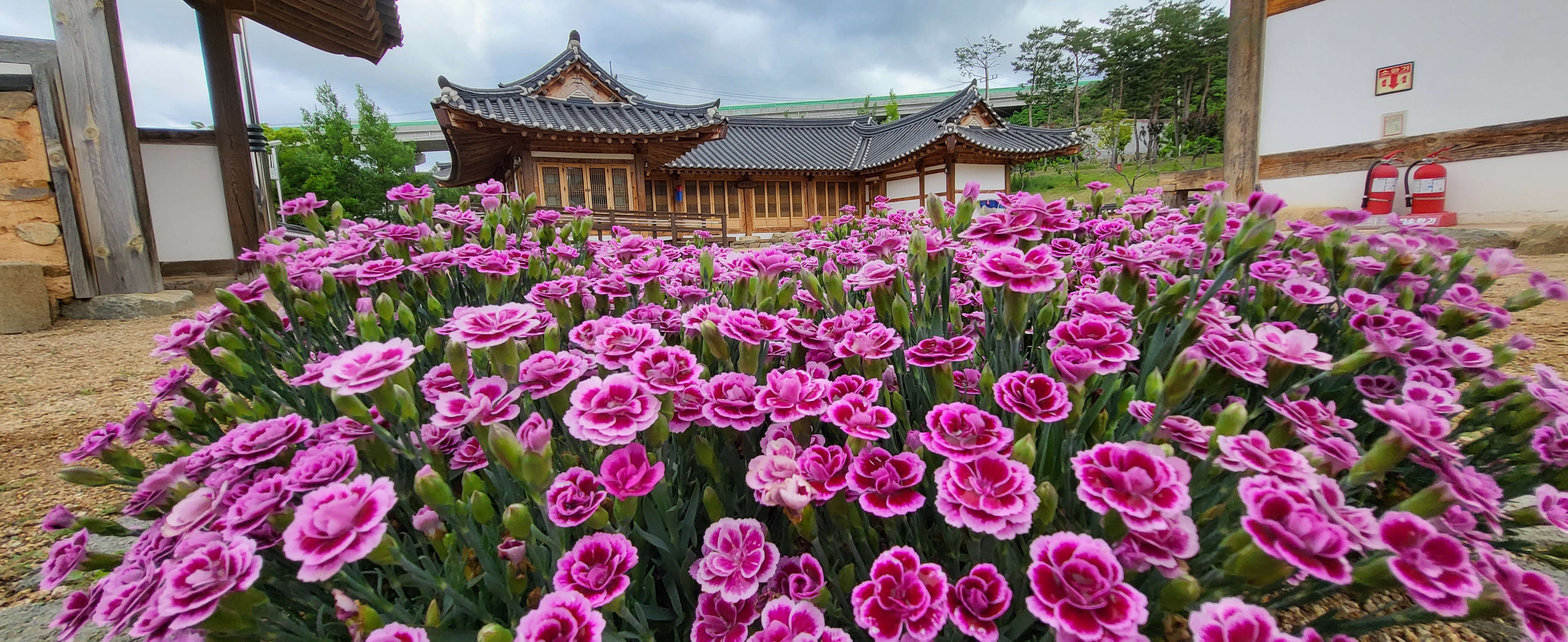 꽃 보러 가자~ 첨부 이미지