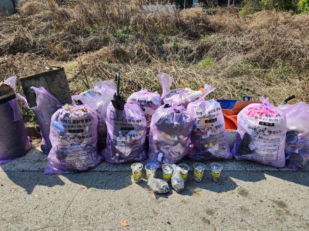 가족형 봉사 동아리(제로웨이스트 줍깅) 첨부 이미지