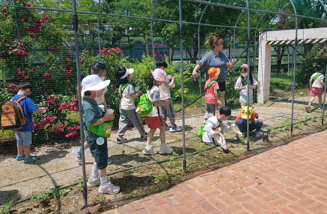 유아과정 - 와글와글 환경텃밭 첨부 이미지