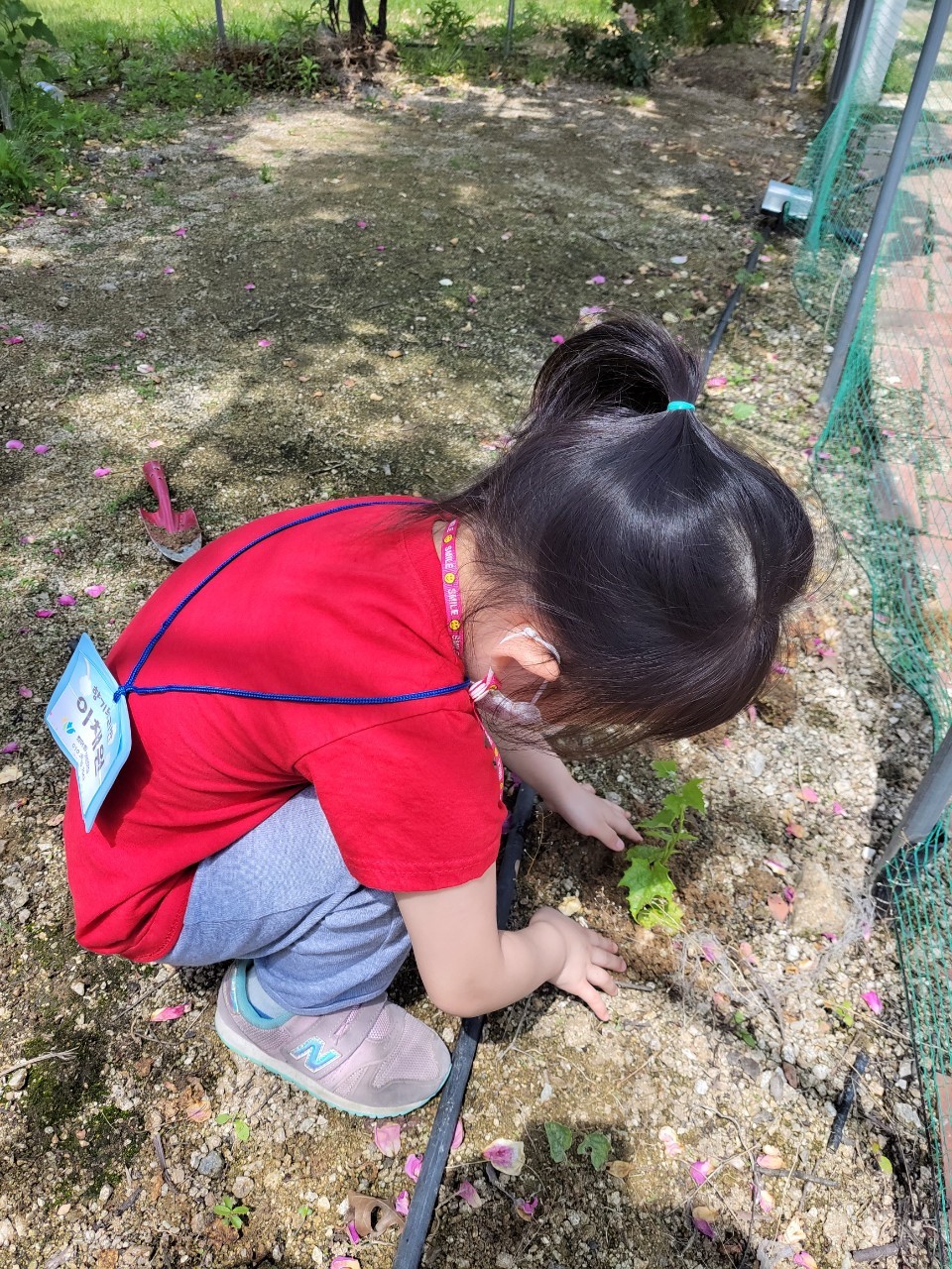 유아과정 - 와글와글 환경텃밭 첨부 이미지