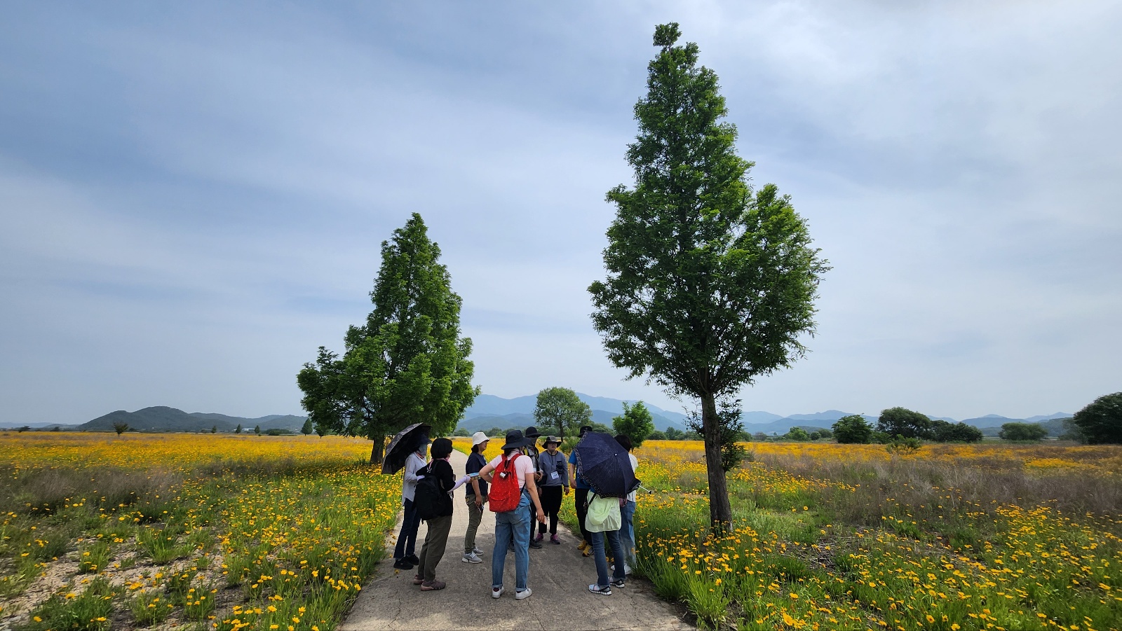 성인과정 - 이야기가 있는 Guml 힐링 트레깅 첨부 이미지