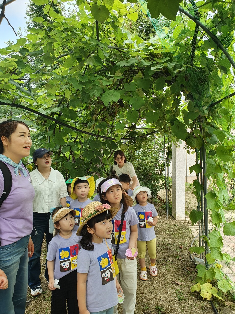 유아과정 - 와글와글 환경텃밭 첨부 이미지