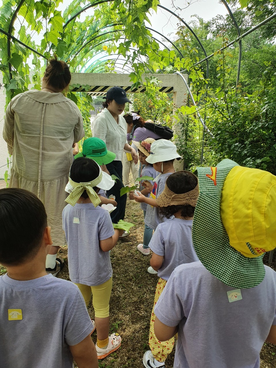 유아과정 - 와글와글 환경텃밭 첨부 이미지