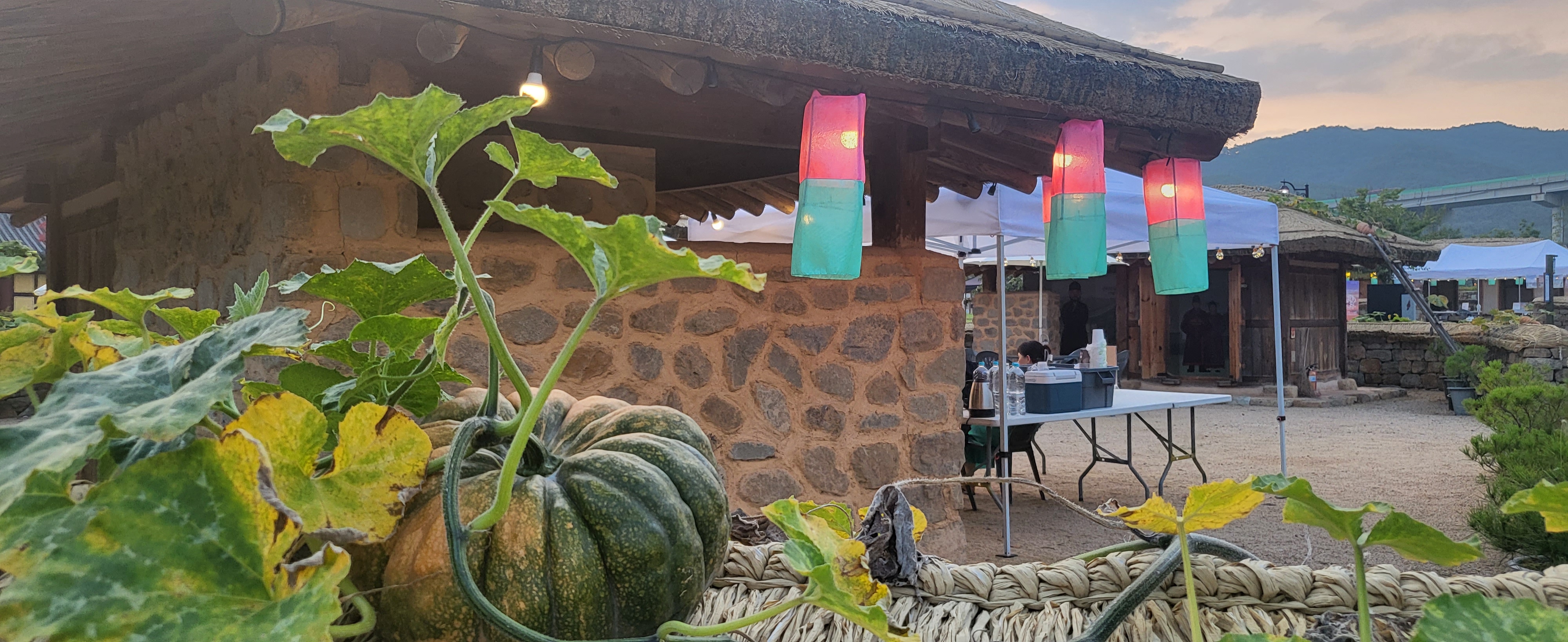 모례랑 시즌2, 별이랑 (1) 첨부 이미지