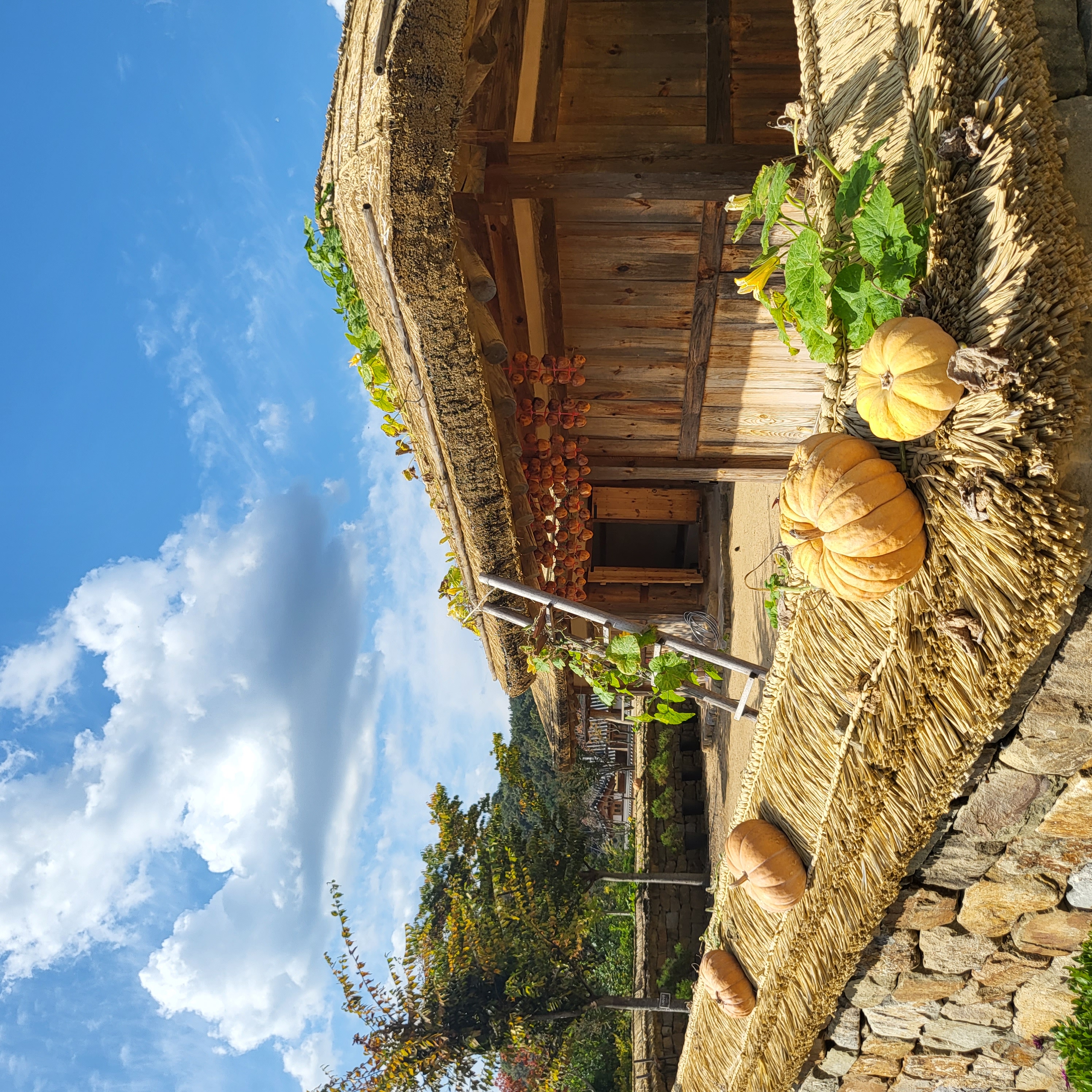 초전지의 가을 첨부 이미지