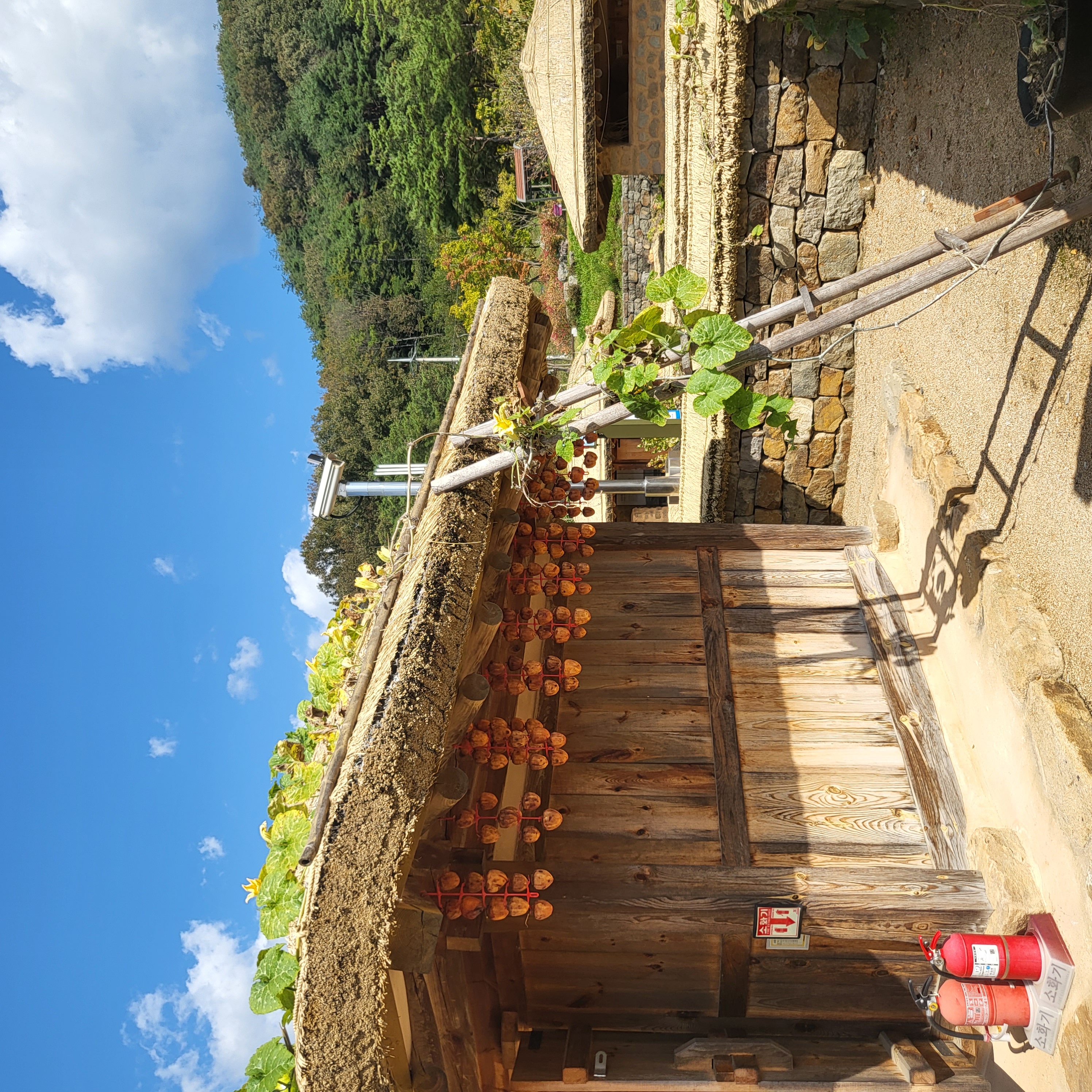 초전지의 가을 첨부 이미지