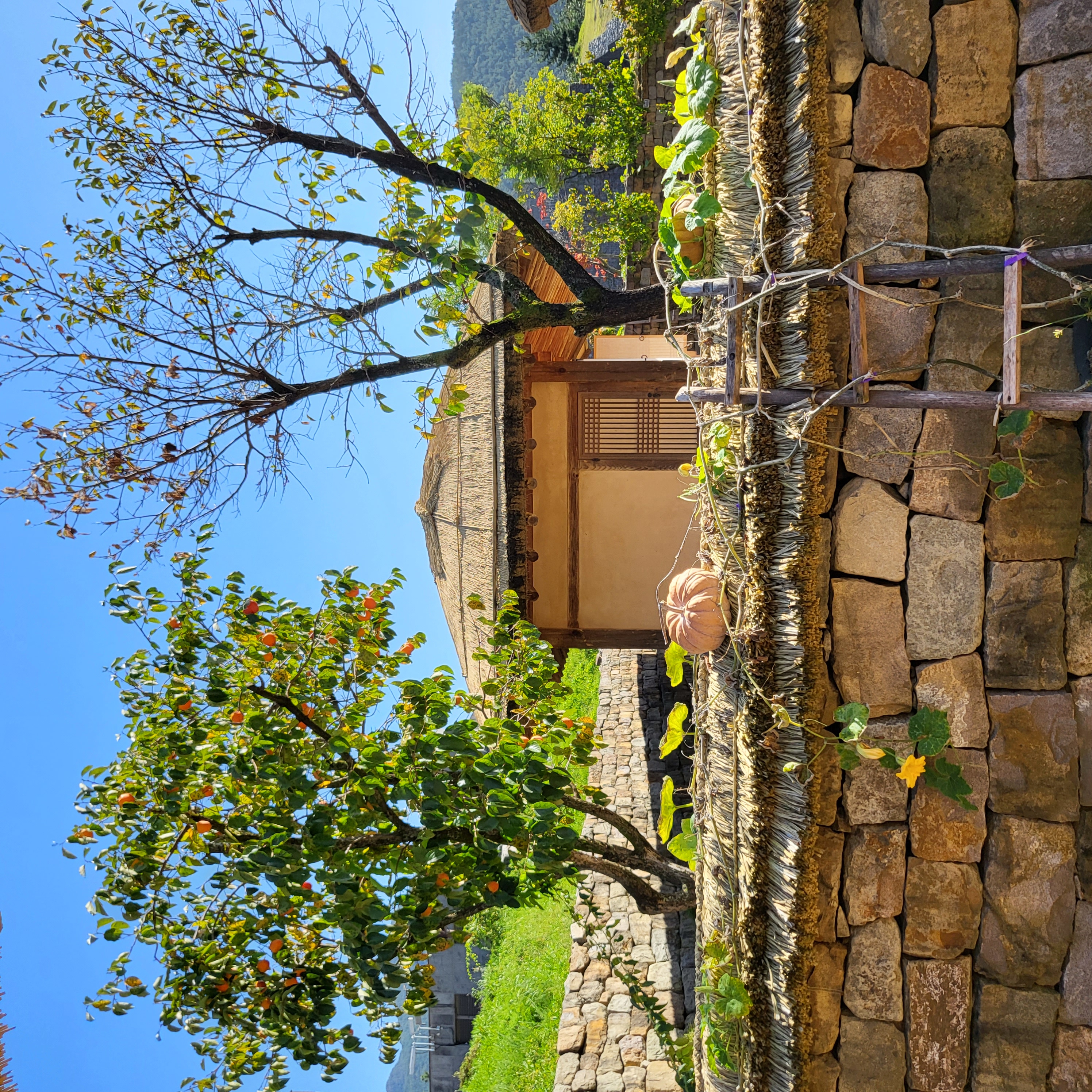 초전지의 가을 첨부 이미지