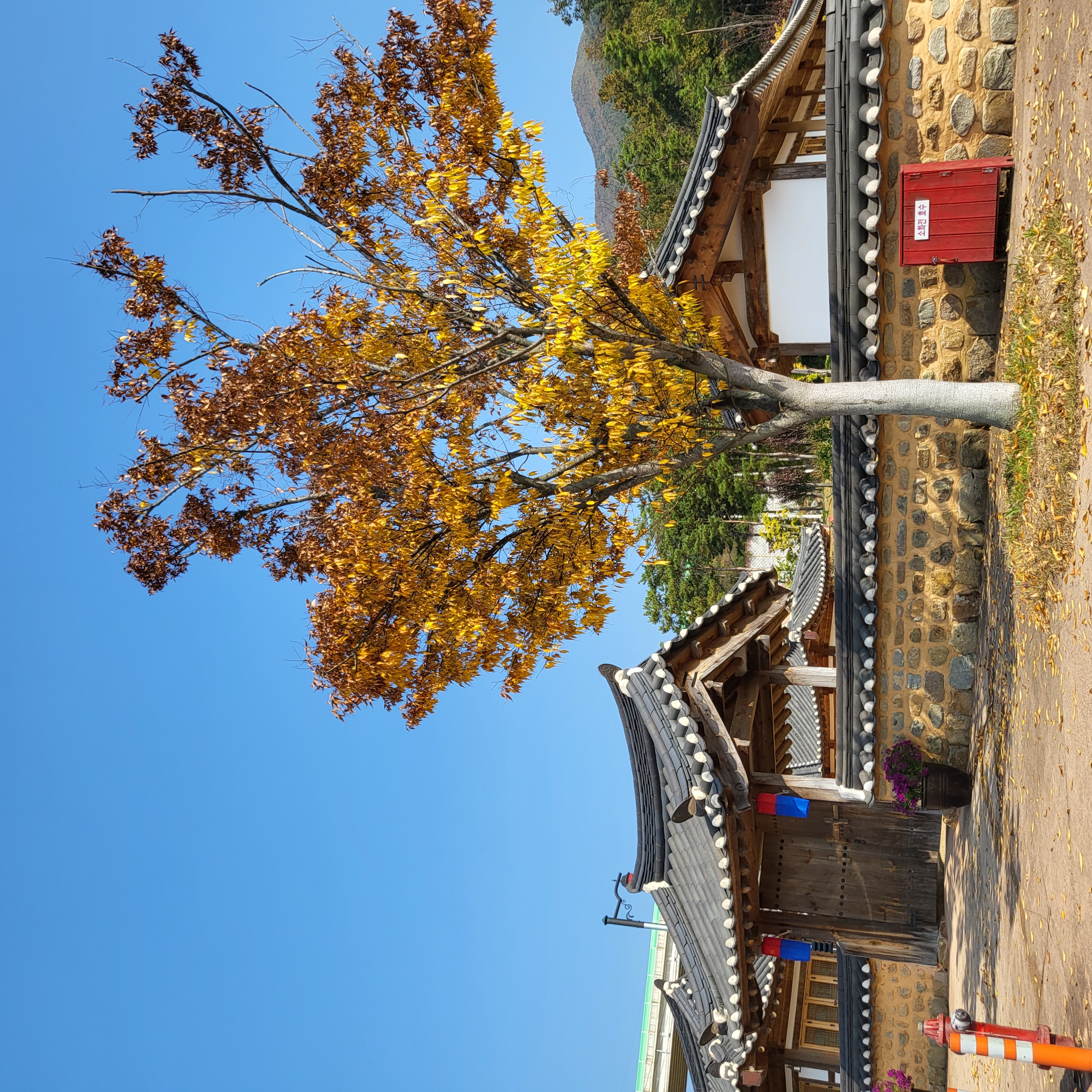 초전지의 가을 첨부 이미지