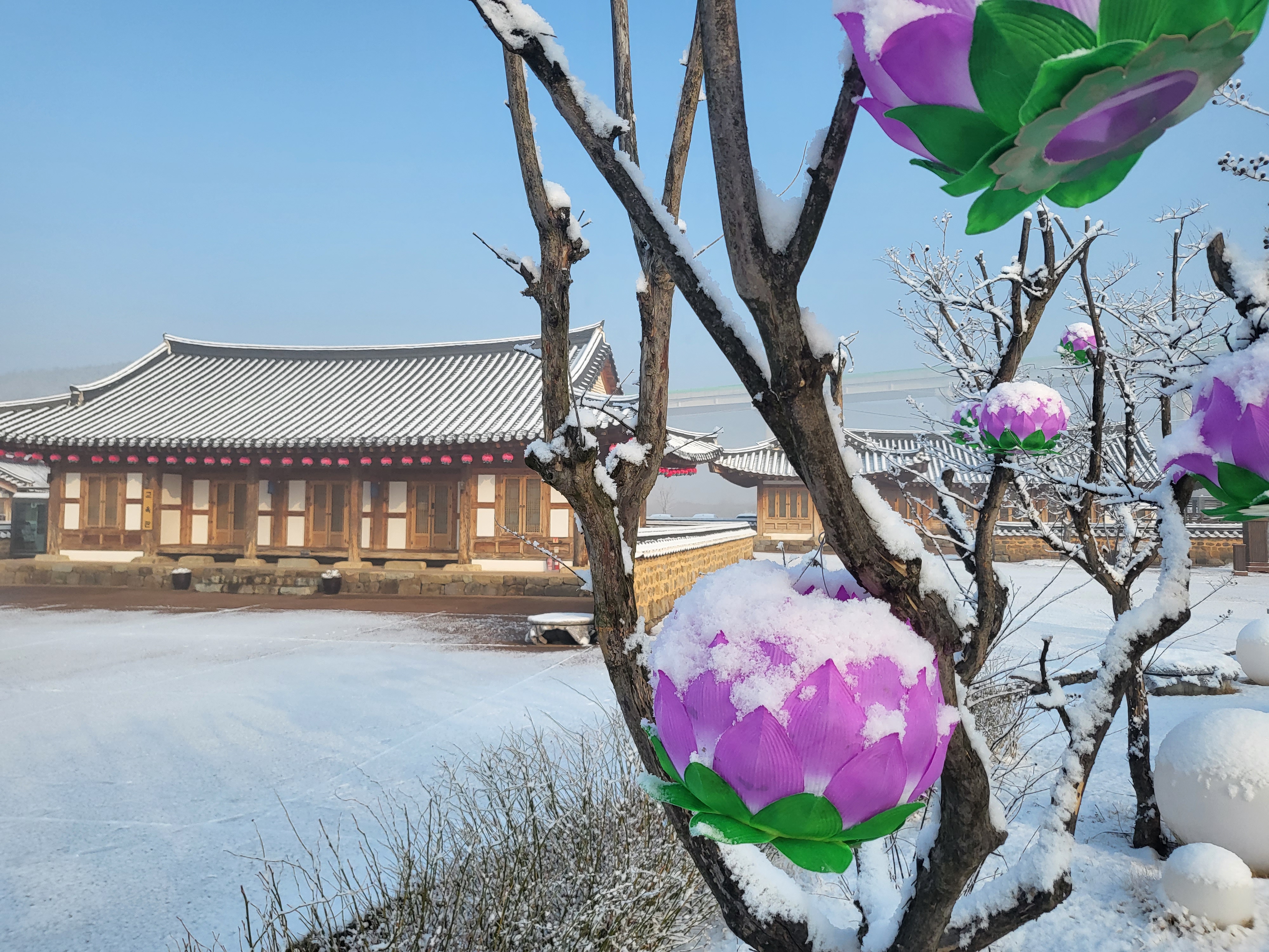 초전지의 겨울 첨부 이미지