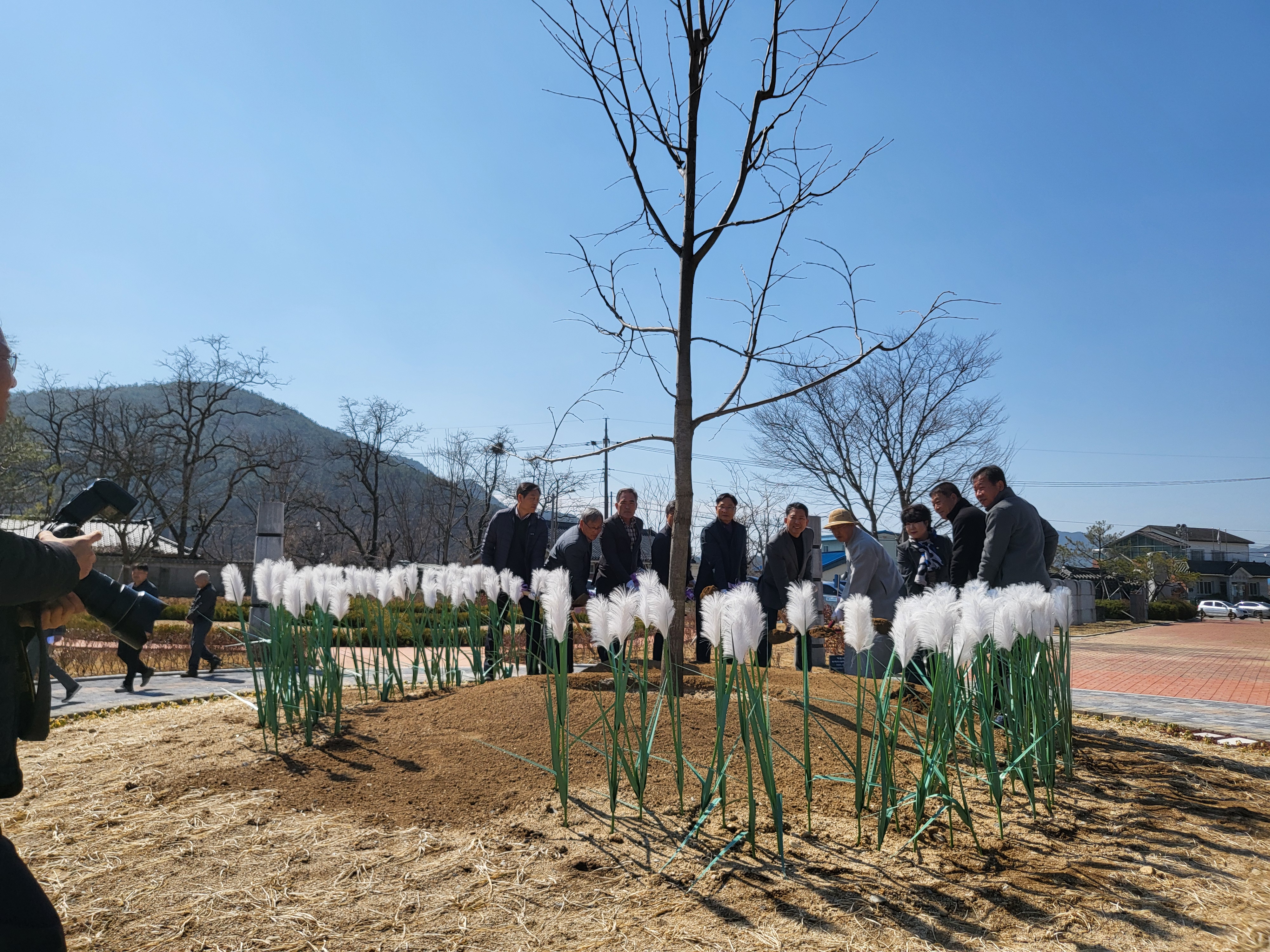 보리수 기증식 첨부 이미지